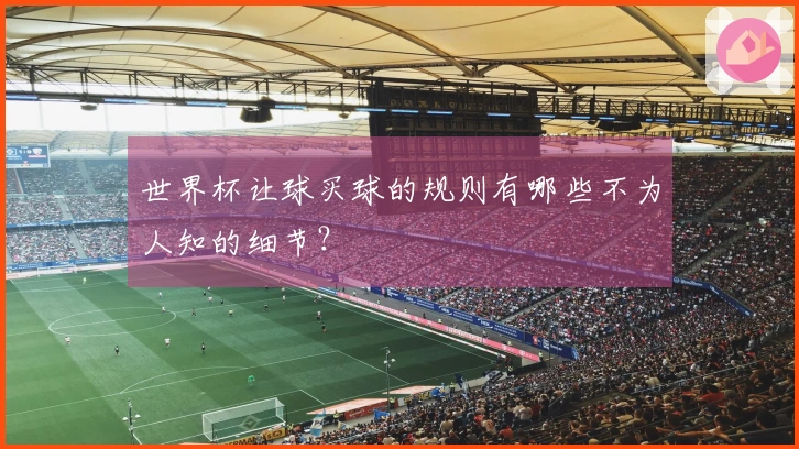 世界杯让球买球的规则有哪些不为人知的细节？