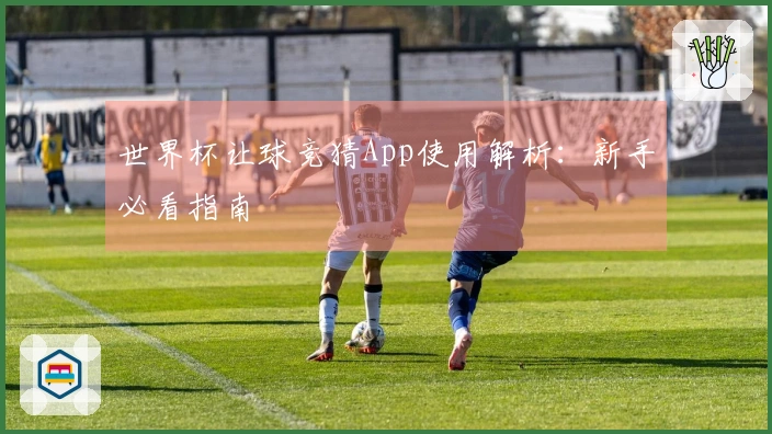 世界杯让球竞猜App使用解析：新手必看指南