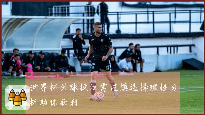 世界杯买球投注需谨慎选择理性分析助你获利