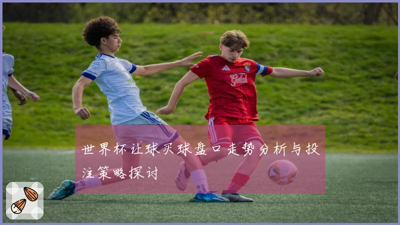 世界杯让球买球盘口走势分析与投注策略探讨