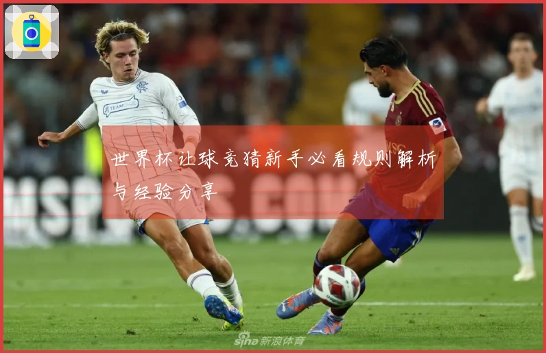 世界杯让球竞猜新手必看规则解析与经验分享
