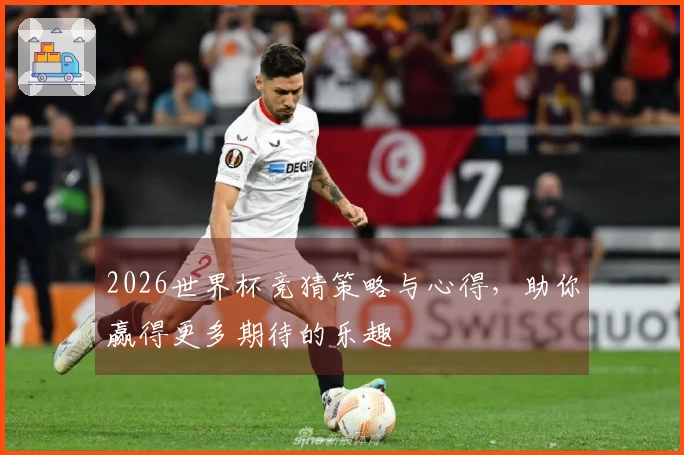 2026世界杯竞猜策略与心得，助你赢得更多期待的乐趣