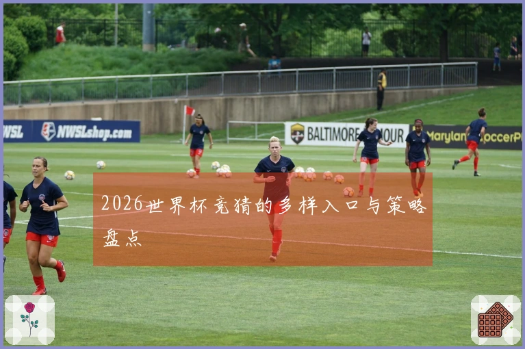 2026世界杯竞猜的多样入口与策略盘点