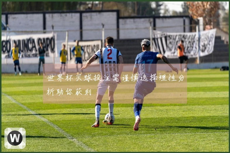 世界杯买球投注需谨慎选择理性分析助你获利