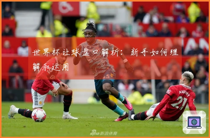 世界杯让球盘口解析：新手如何理解和运用