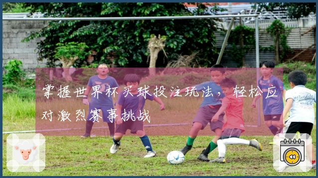 掌握世界杯买球投注玩法，轻松应对激烈赛事挑战