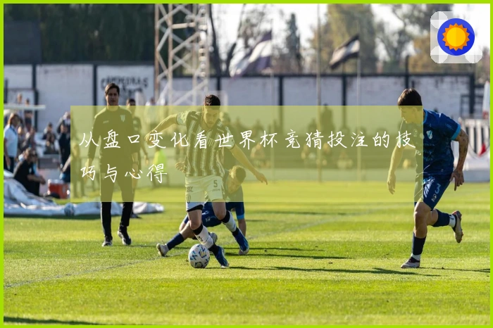 从盘口变化看世界杯竞猜投注的技巧与心得