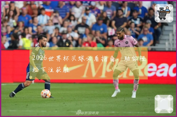 2026世界杯买球必看指南，助你轻松下注获胜