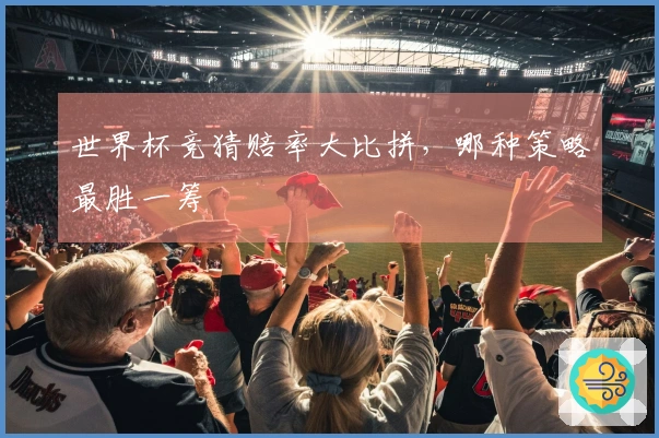 世界杯竞猜赔率大比拼，哪种策略最胜一筹